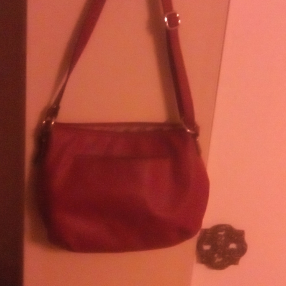 Ourse - Picture 4 of 4